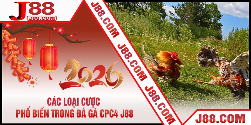 Các Loại Cược Phổ Biến Trong Đá Gà CPC4 J88