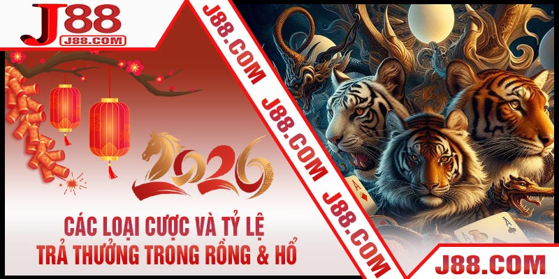 Các Loại Cược Và Tỷ Lệ Trả Thưởng Trong Rồng & Hổ