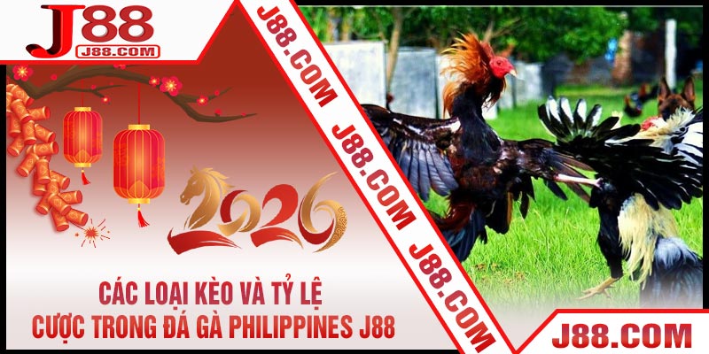Các Loại Kèo Và Tỷ Lệ Cược Trong Đá Gà Philippines J88