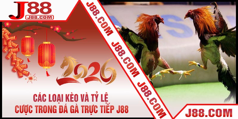 Các Loại Kèo Và Tỷ Lệ Cược Trong Đá Gà Trực Tiếp J88