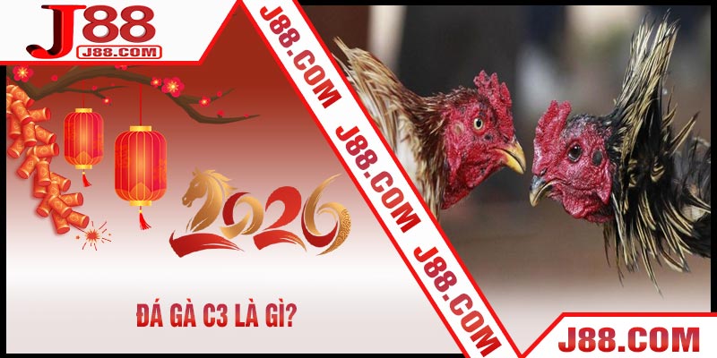 Đá Gà C3 Là Gì?