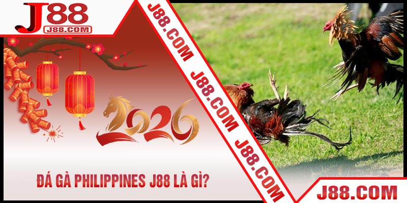 Hướng Dẫn Xem Và Cược Đá Gà Philippines J88 Chi Tiết