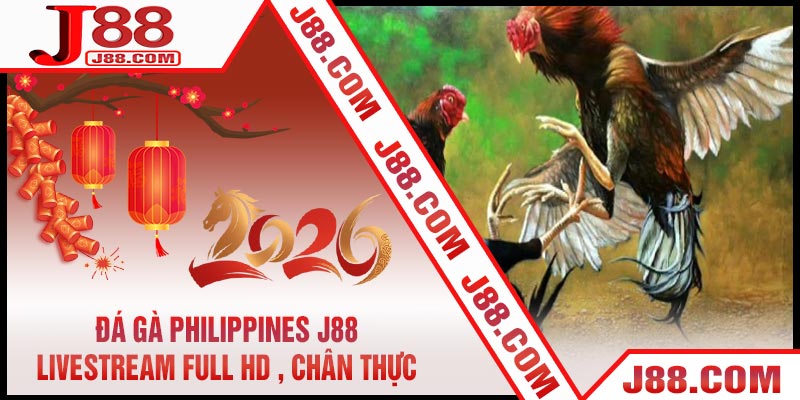 Đá Gà Philippines J88 - Livestream Full HD , Chân Thực