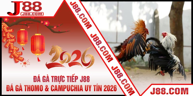 Đá Gà Trực Tiếp J88 - Đá Gà Thomo & Campuchia Uy Tín 2026