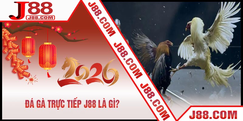 Đá Gà Trực Tiếp J88 Là Gì?