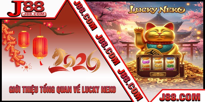 Giới Thiệu Tổng Quan Về Lucky Neko