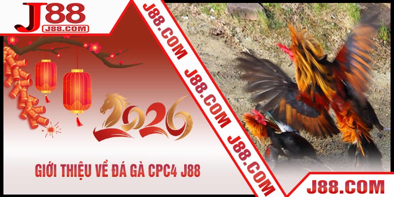 Giới Thiệu Về Đá Gà CPC4 J88