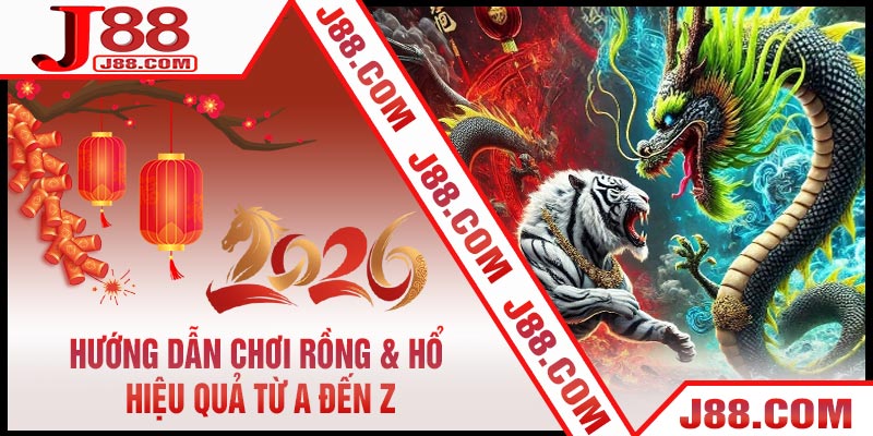 Hướng Dẫn Chơi Rồng & Hổ Hiệu Quả Từ A Đến Z