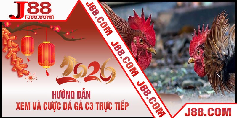 Hướng Dẫn Xem Và Cược Đá Gà C3 Trực Tiếp