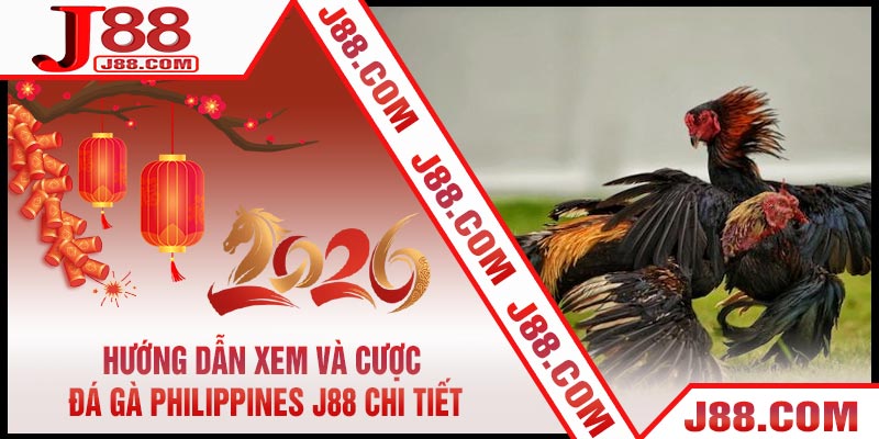 Hướng Dẫn Xem Và Cược Đá Gà Philippines J88 Chi Tiết
