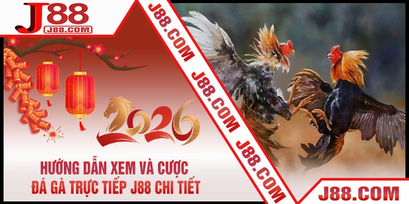 Hướng Dẫn Xem Và Cược Đá Gà Trực Tiếp J88 Chi Tiết