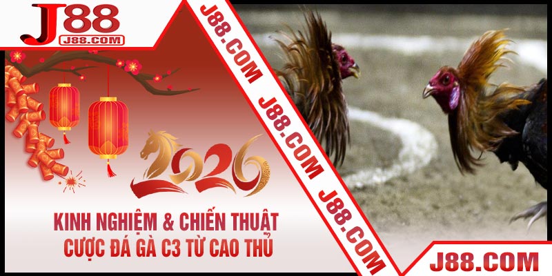 Kinh Nghiệm & Chiến Thuật Cược Đá Gà C3 Từ Cao Thủ