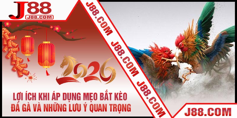 Lợi Ích Khi Áp Dụng Mẹo Bắt Kèo Đá Gà Và Những Lưu Ý Quan Trọng