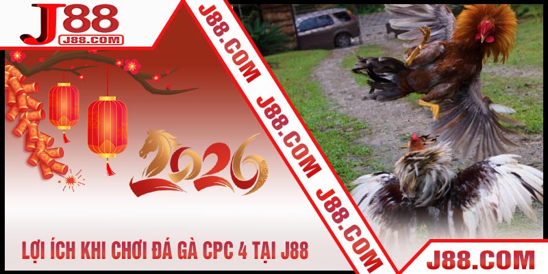 Lợi Ích Khi Chơi Đá Gà CPC 4 Tại J88
