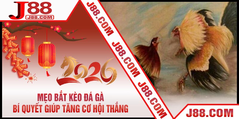 Mẹo Bắt Kèo Đá Gà - Bí Quyết Giúp Tăng Cơ Hội Thắng