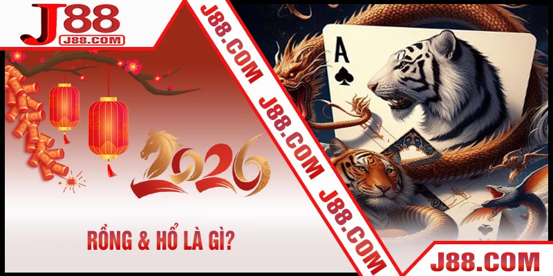 Rồng & Hổ Là Gì?