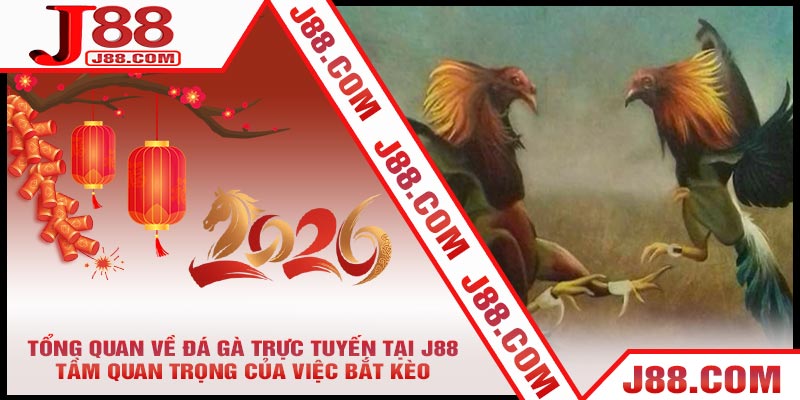Tổng Quan Về Đá Gà Trực Tuyến Tại J88 Và Tầm Quan Trọng Của Việc Bắt Kèo